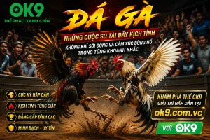 OK9 sports betting