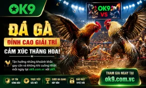 Đá Gà OK9 live interface